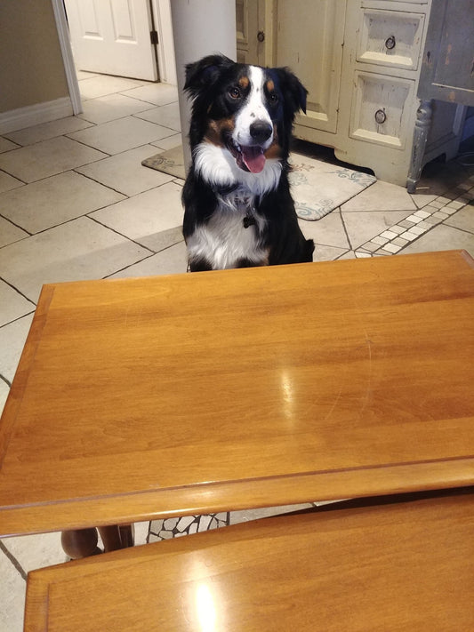 Nesting Table Redo
