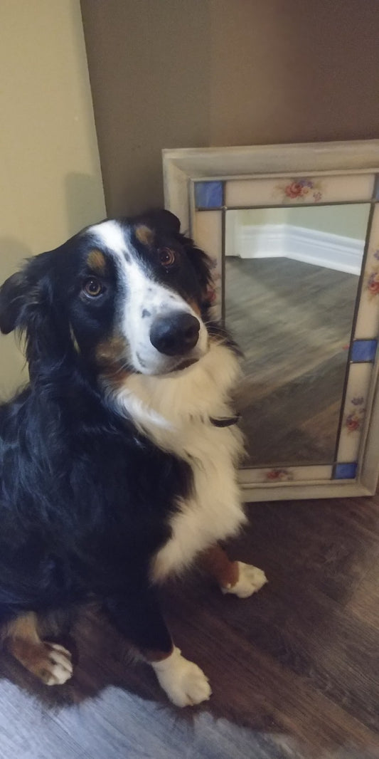 Quick Stained Glass Mirror Makeover with Colorantic