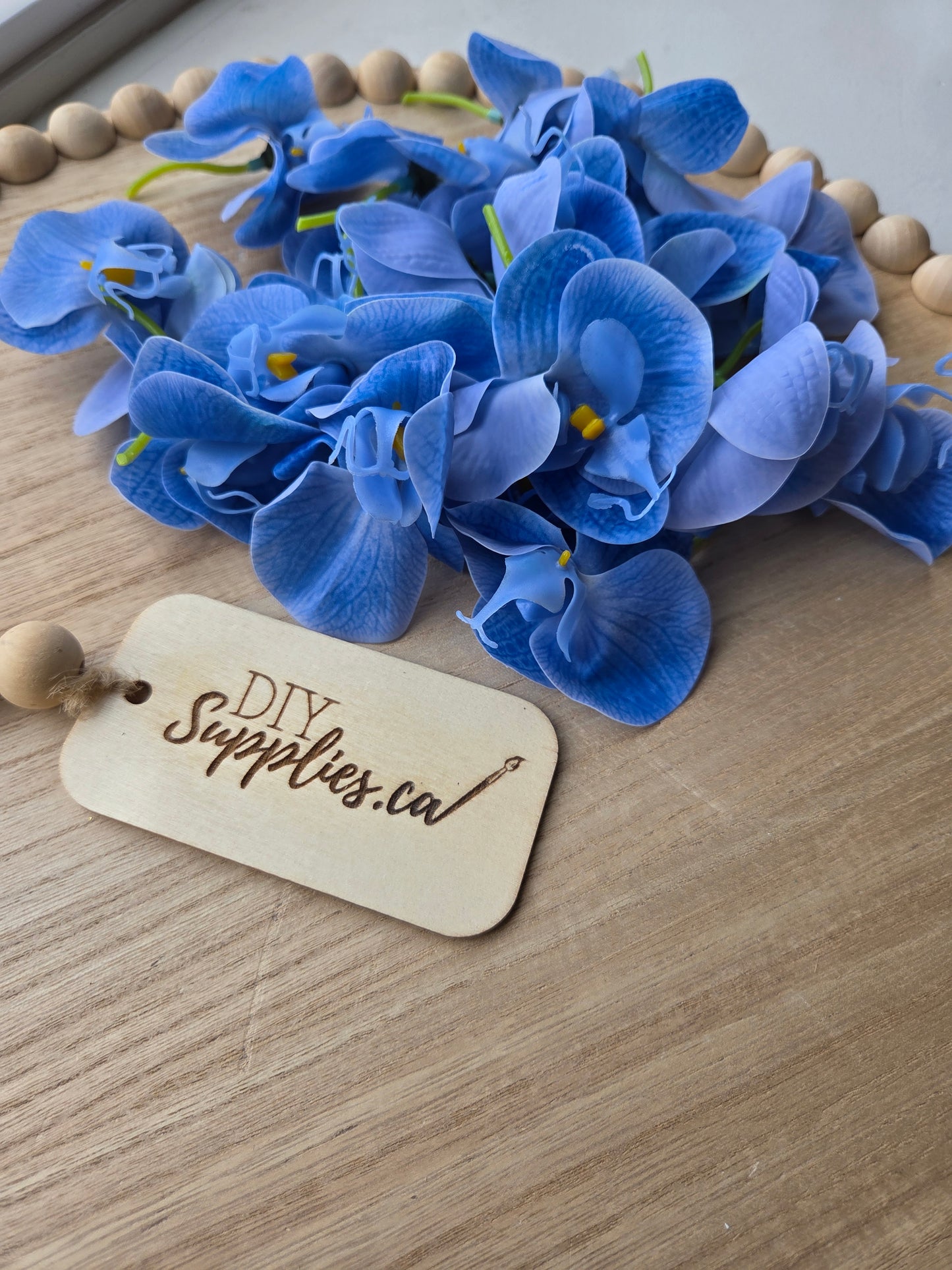 Blue Flower Lot