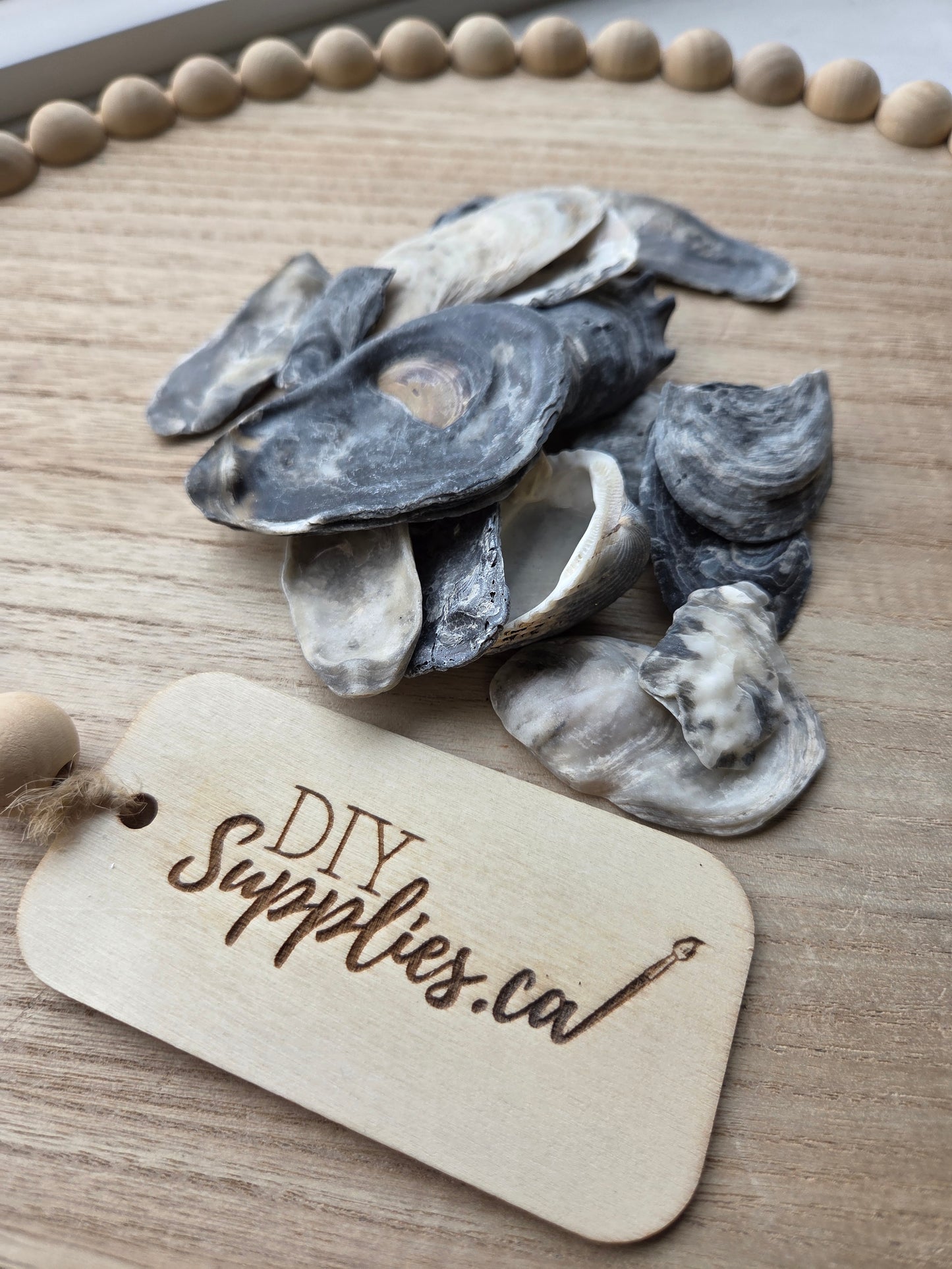 Shell Lot