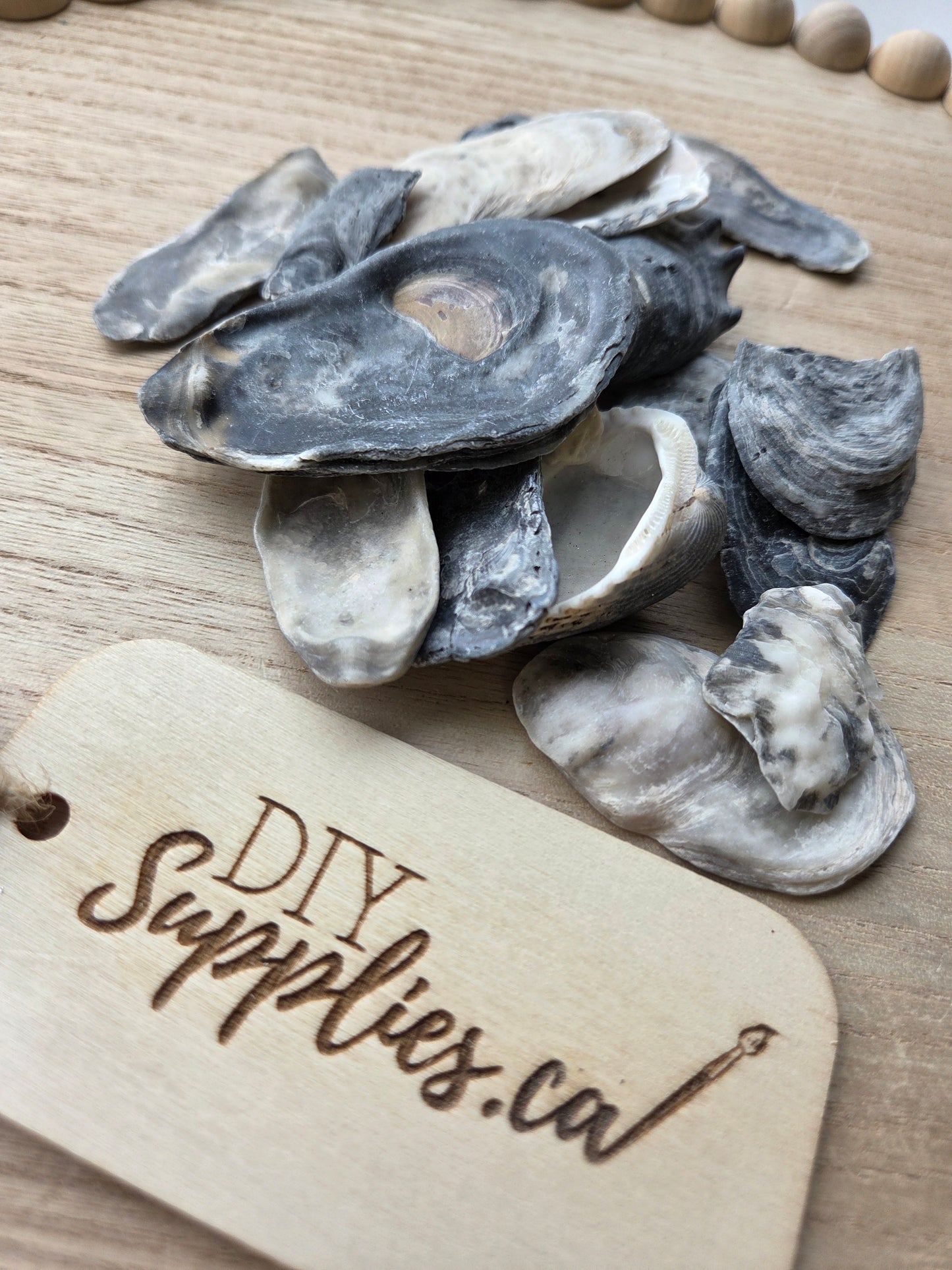 Shell Lot