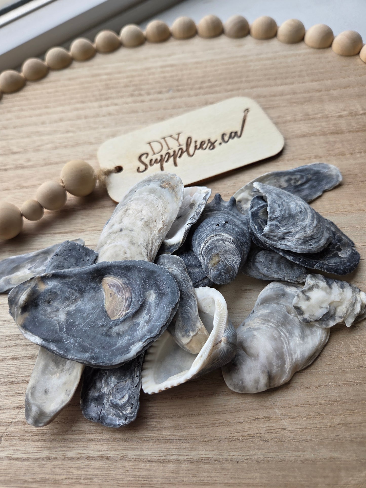 Shell Lot