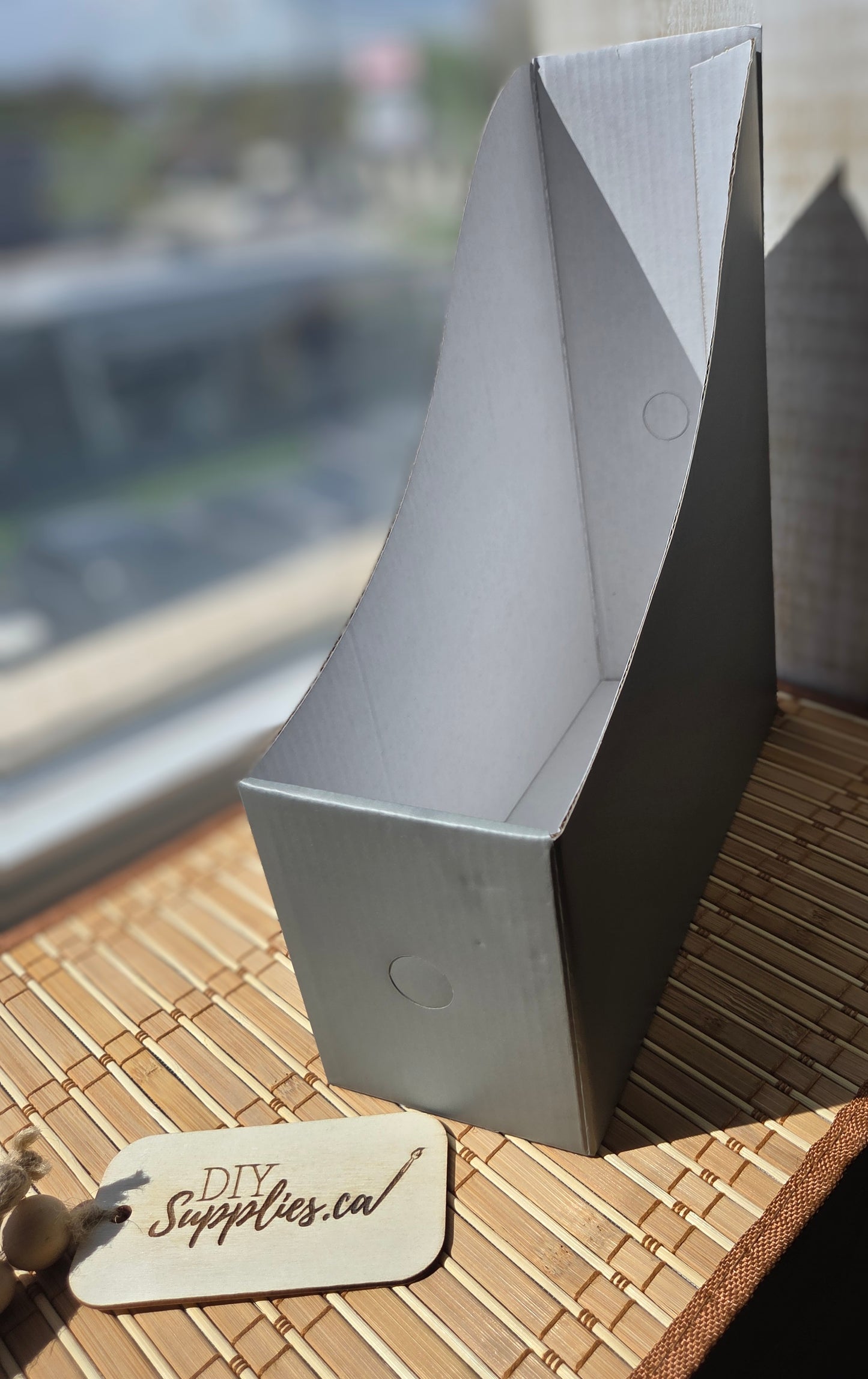 Set of 12 Cardboard File Boxes