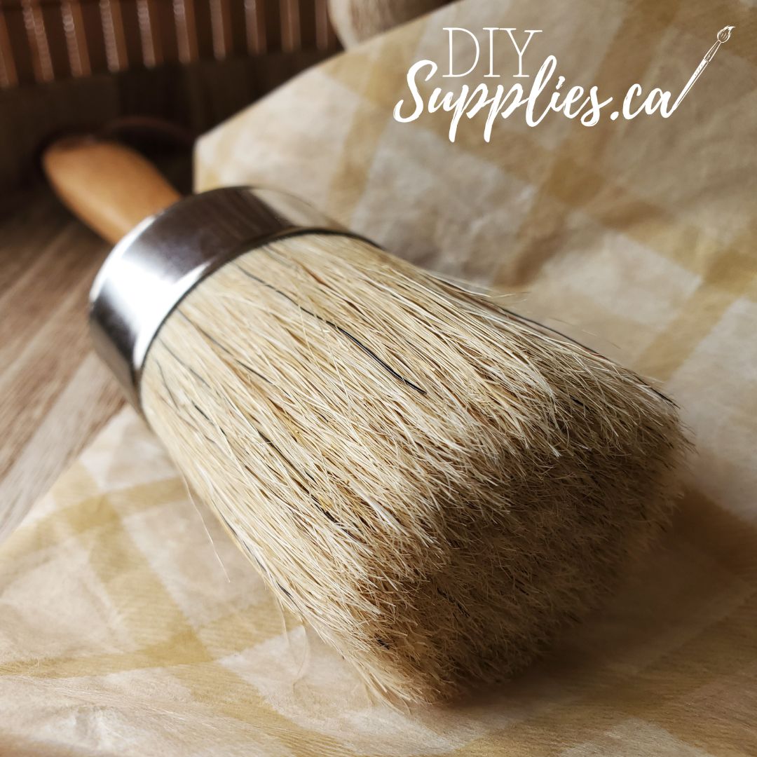 DIY Supplies 2 Inch Natural Oval Brush