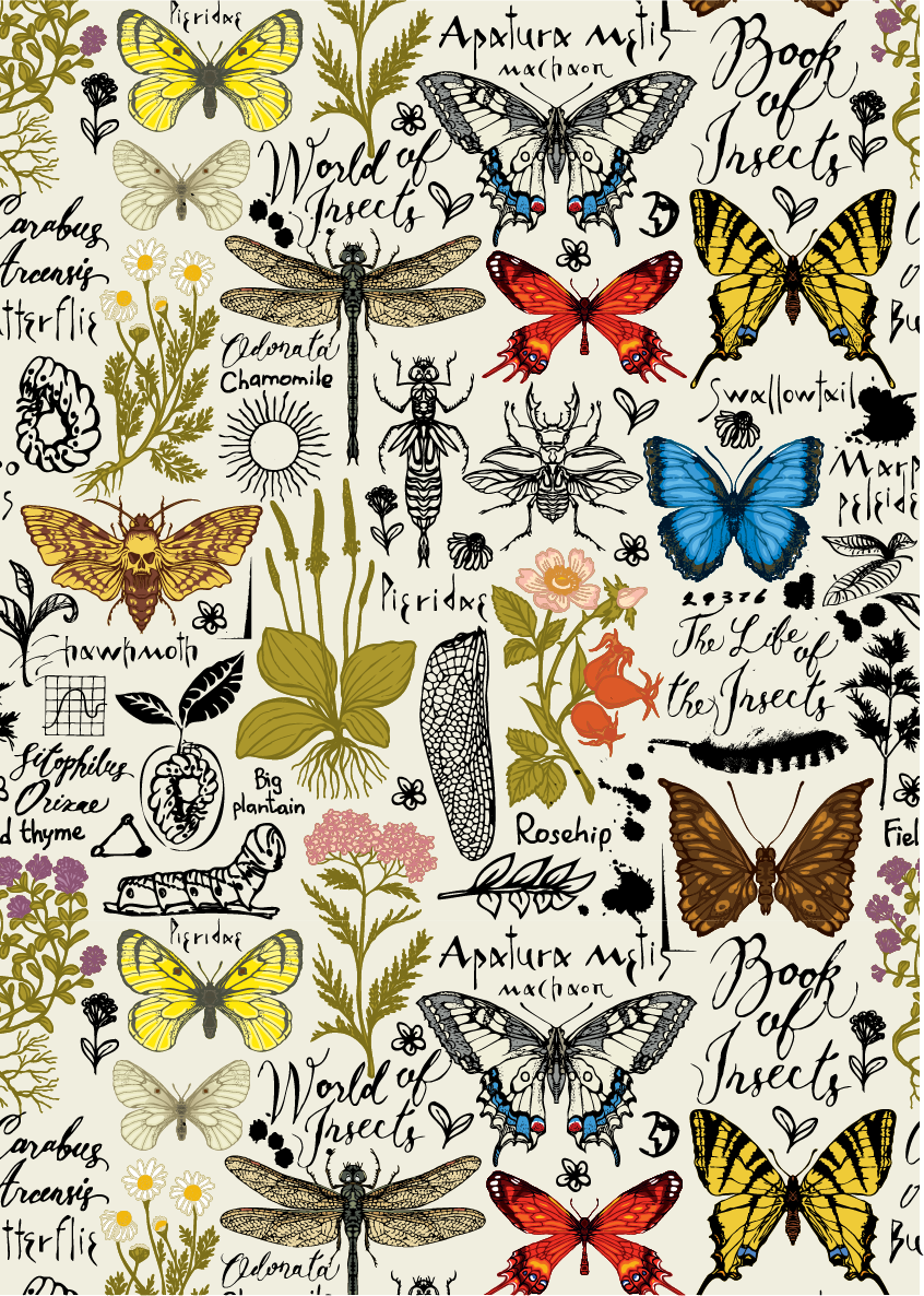 Belles and Whistles A3 Rice Decoupage Paper - Book of Insects