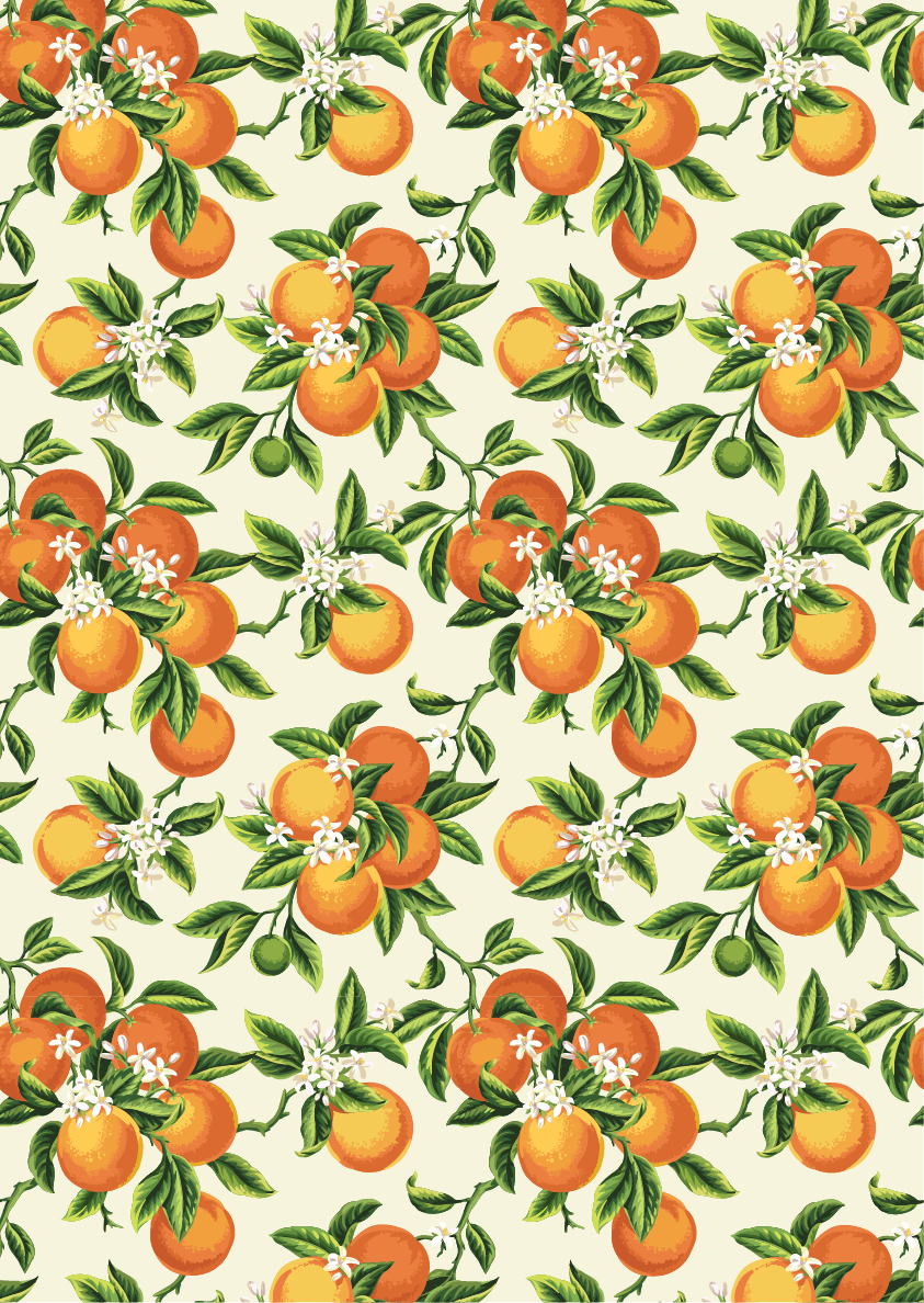 Belles and Whistles A3 Rice Decoupage Paper - Vintage Oranges