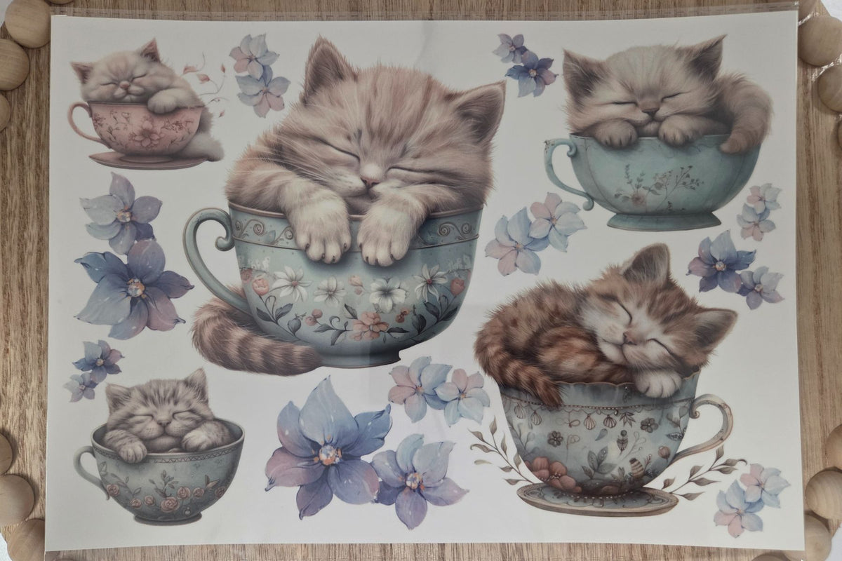 Water Transfer - Kitty Cups in Blue 8.5 x 11 Transfer Sheet