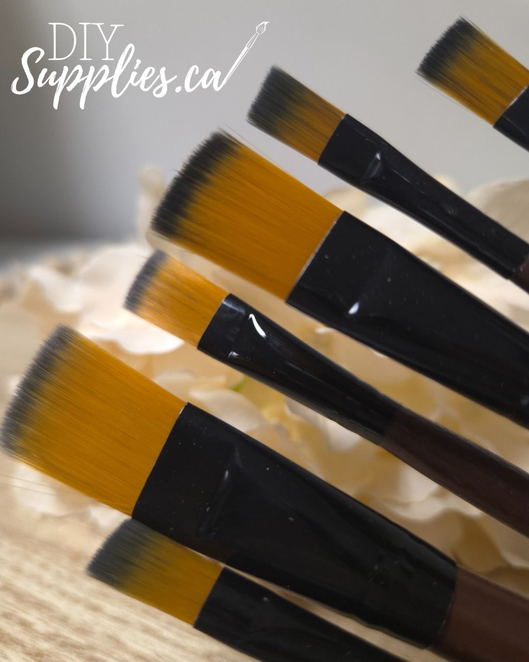 Artist Brush Set