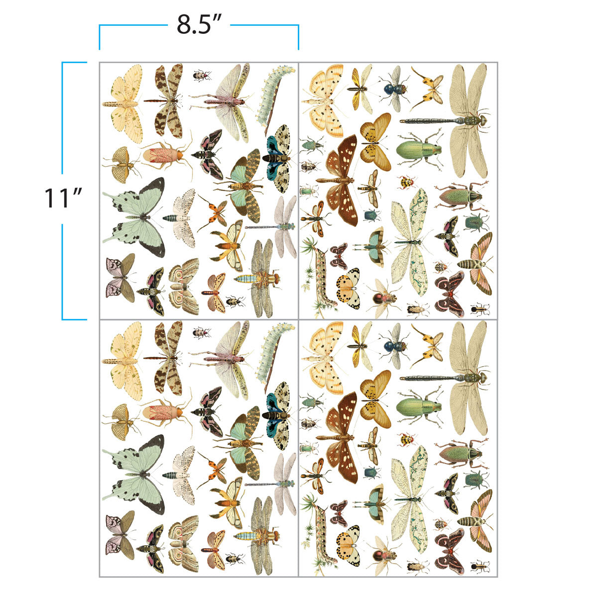 Prima Infusible Heat Transfers - 8.5" x 11" -Entomology 4 Sheets