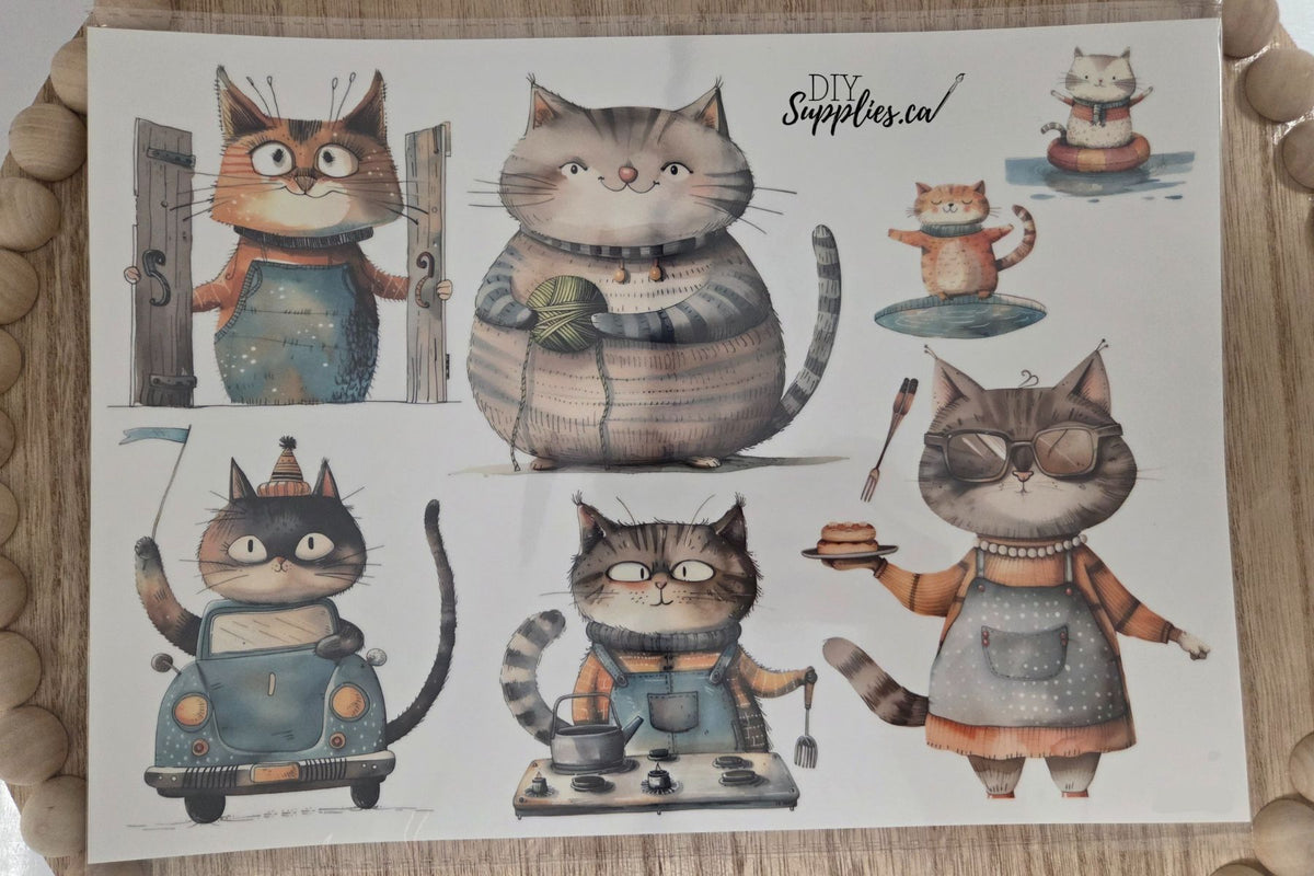 Water Transfer -Hobby Cats 8.5 x 11 Transfer Sheet