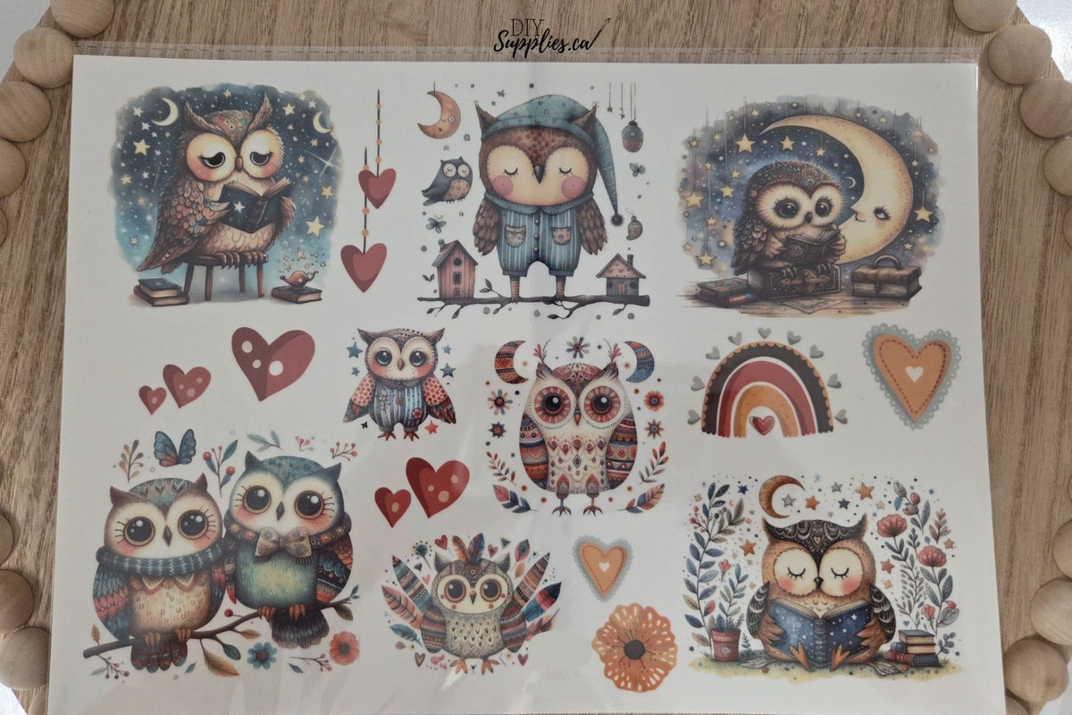 Water Transfer -Night Owls 8.5 x 11 Transfer Sheet