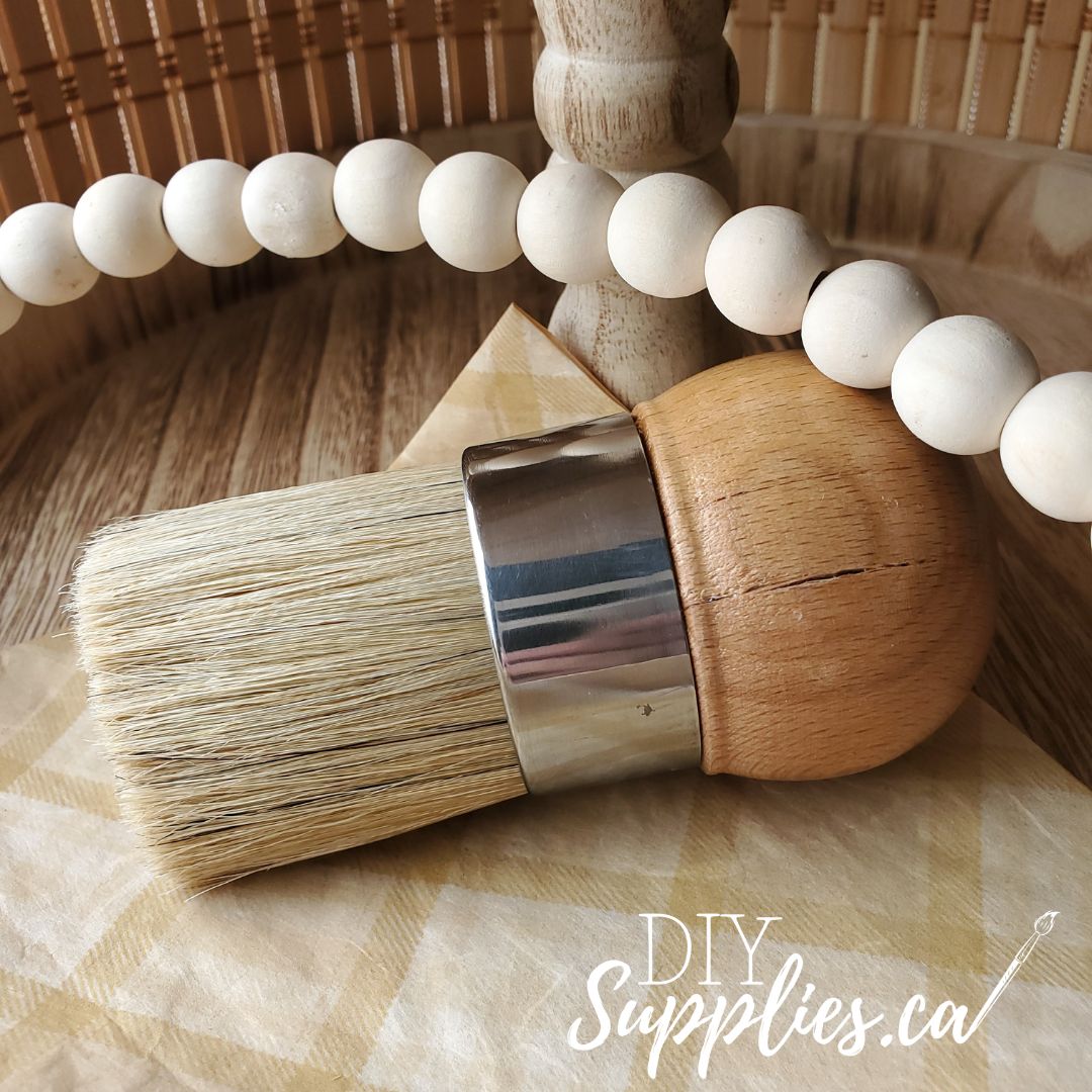 DIY Supplies Palm Brush Starter Bundle