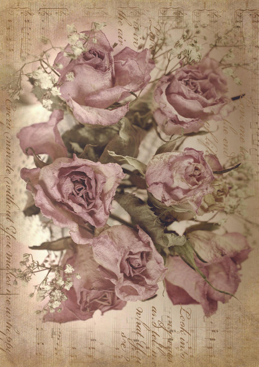 Belles and Whistles A1 Decoupage Paper - Sepia Rose Song