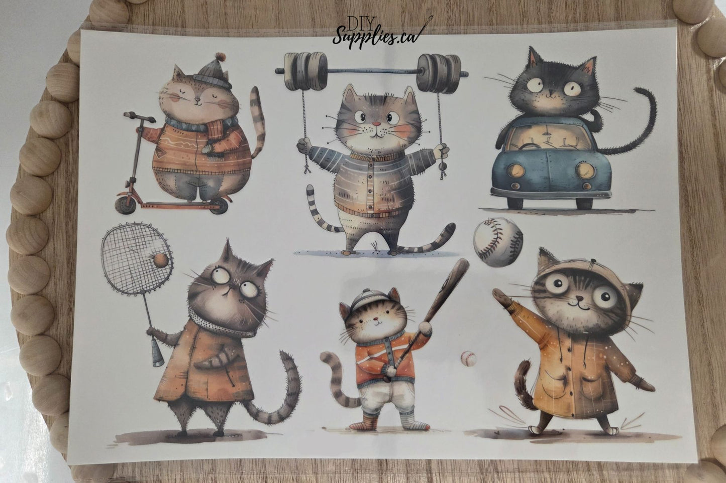 Water Transfer -Sporty Cats 8.5 x 11 Transfer Sheet