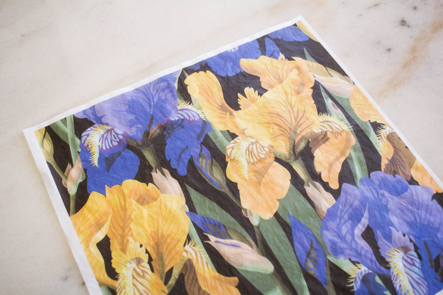 Belles and Whistles Rice Paper - Floral on Black