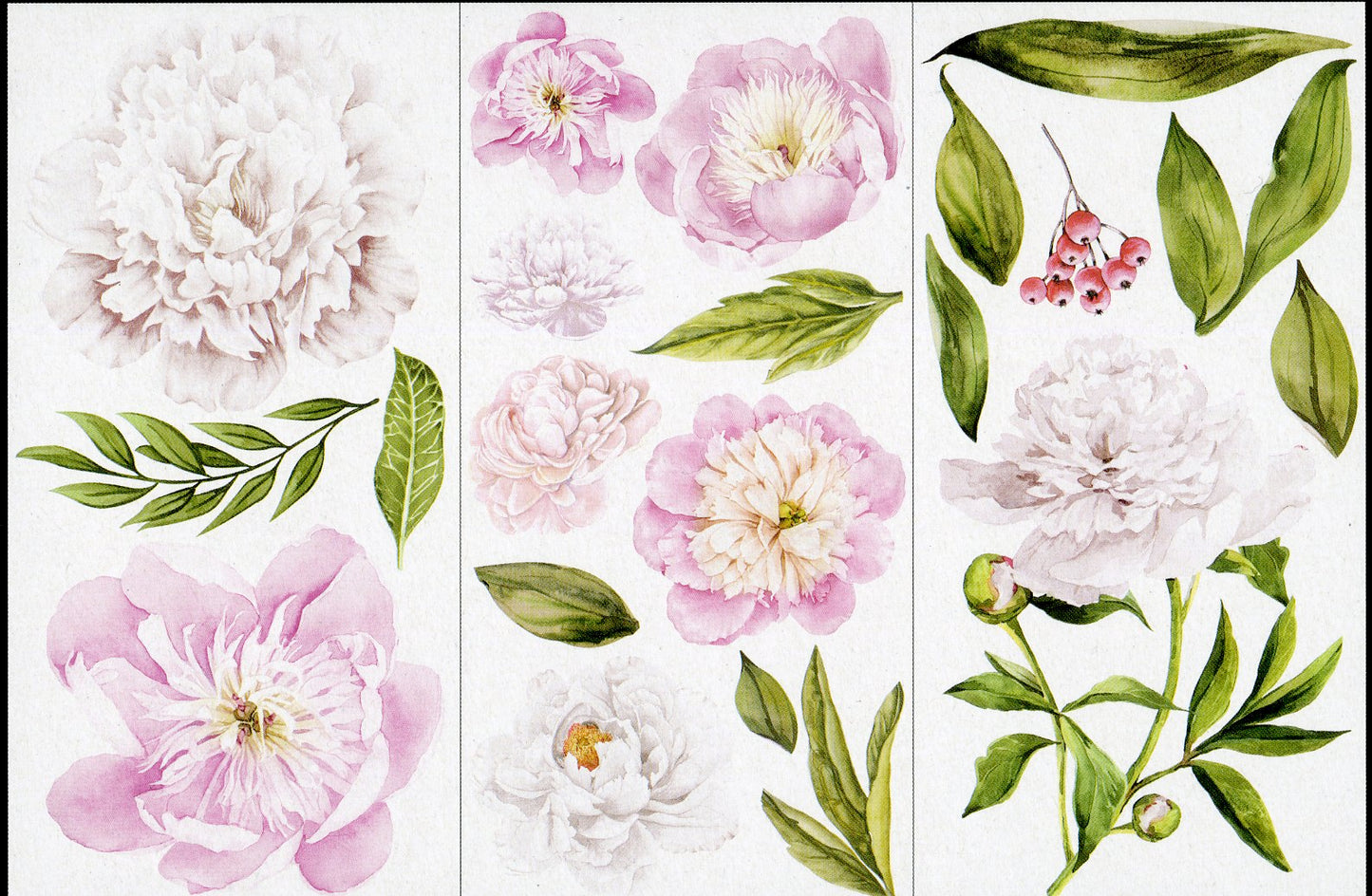 Re-Design Decor Transfers - Morning Peonies