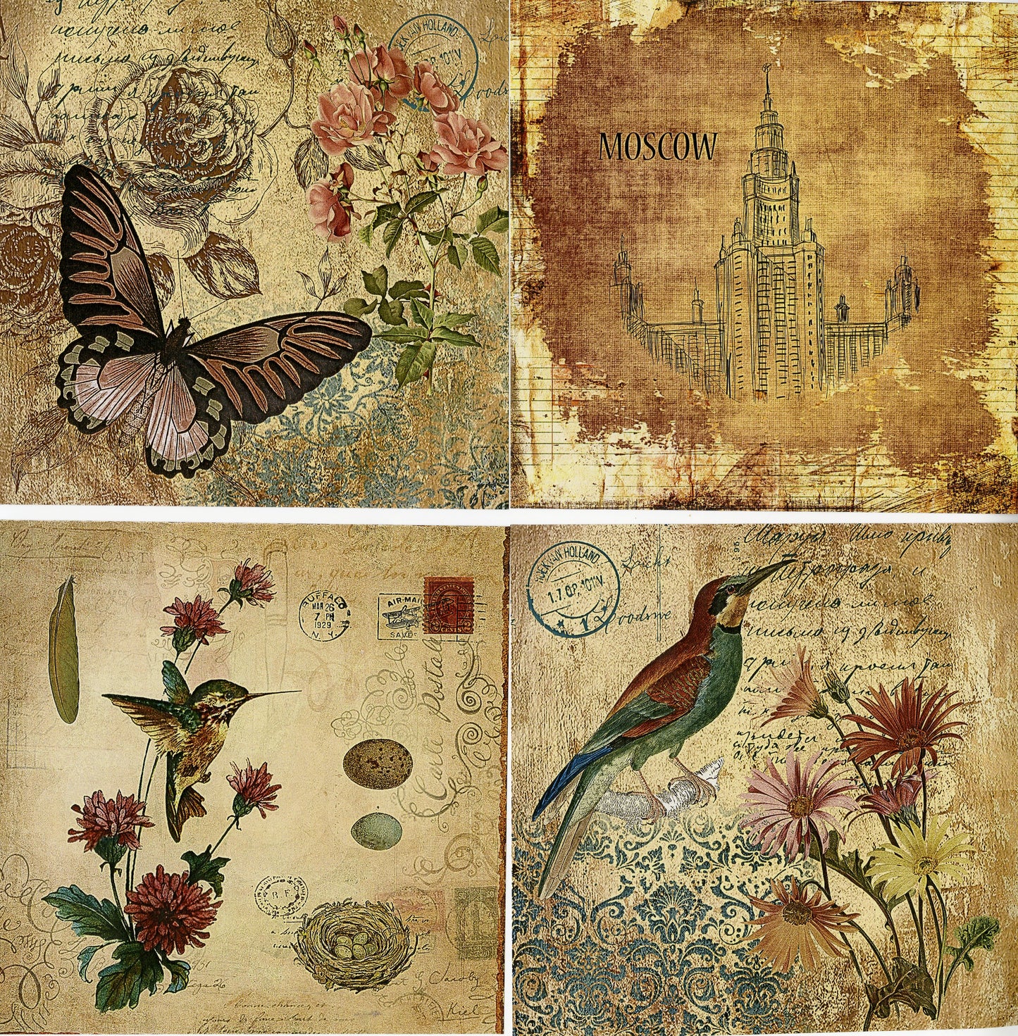 Combo Pack Vellum/Scrapbooking Paper Squares - Dreamy Days