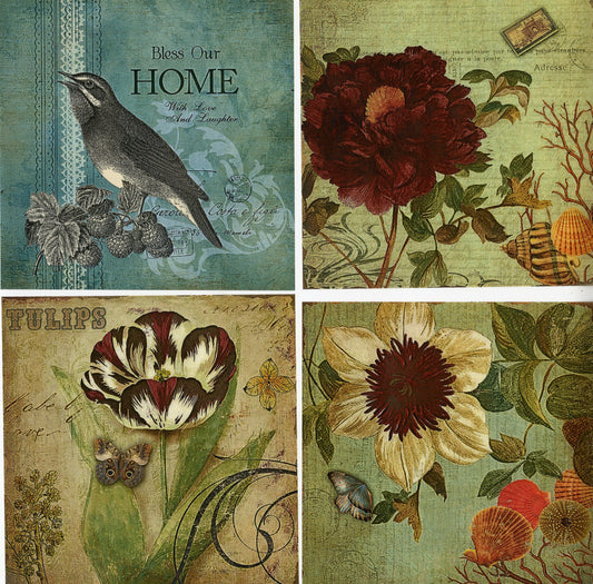 Combo Pack Vellum/Scrapbooking Paper Squares -  Dreamy Days