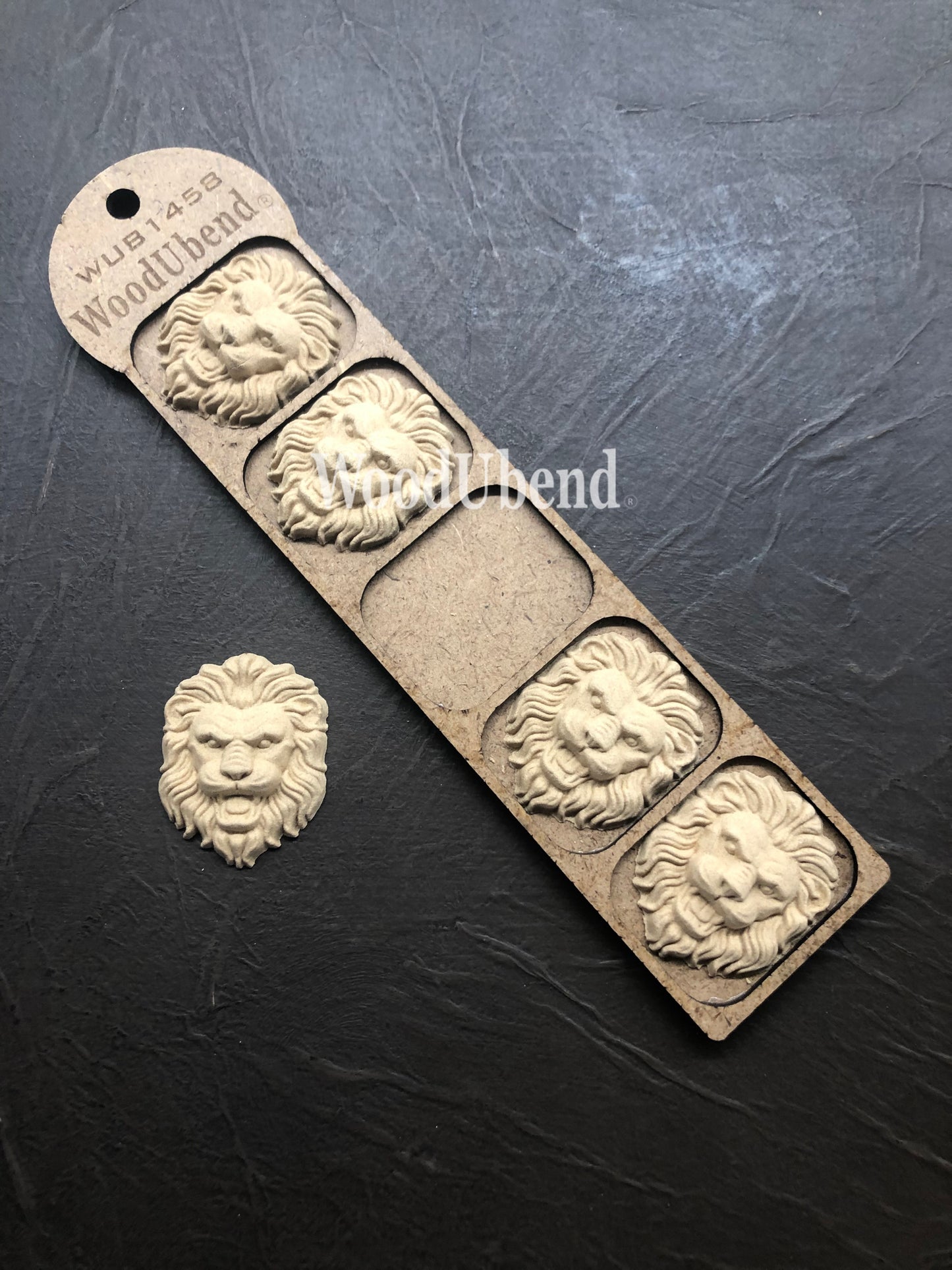Pack of Five Lions WUB1458