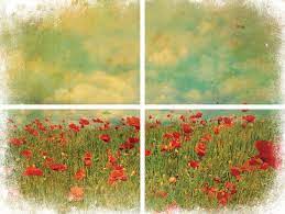 Belles and Whistles Transfers - Field of Flowers