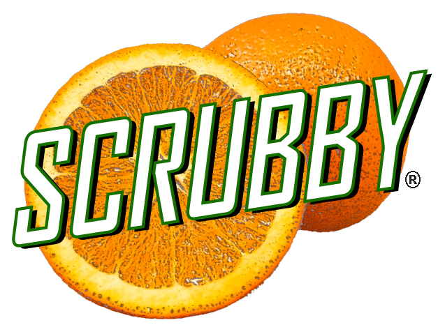 Scrubby Soap Orange