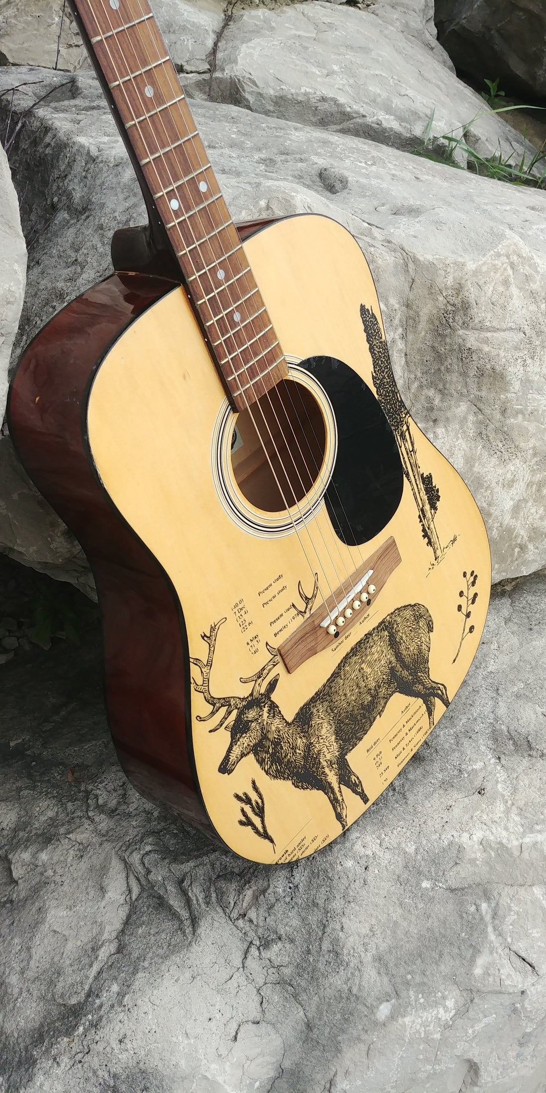 Giving an Old Guitar a Second Life with Rub-On Transfers