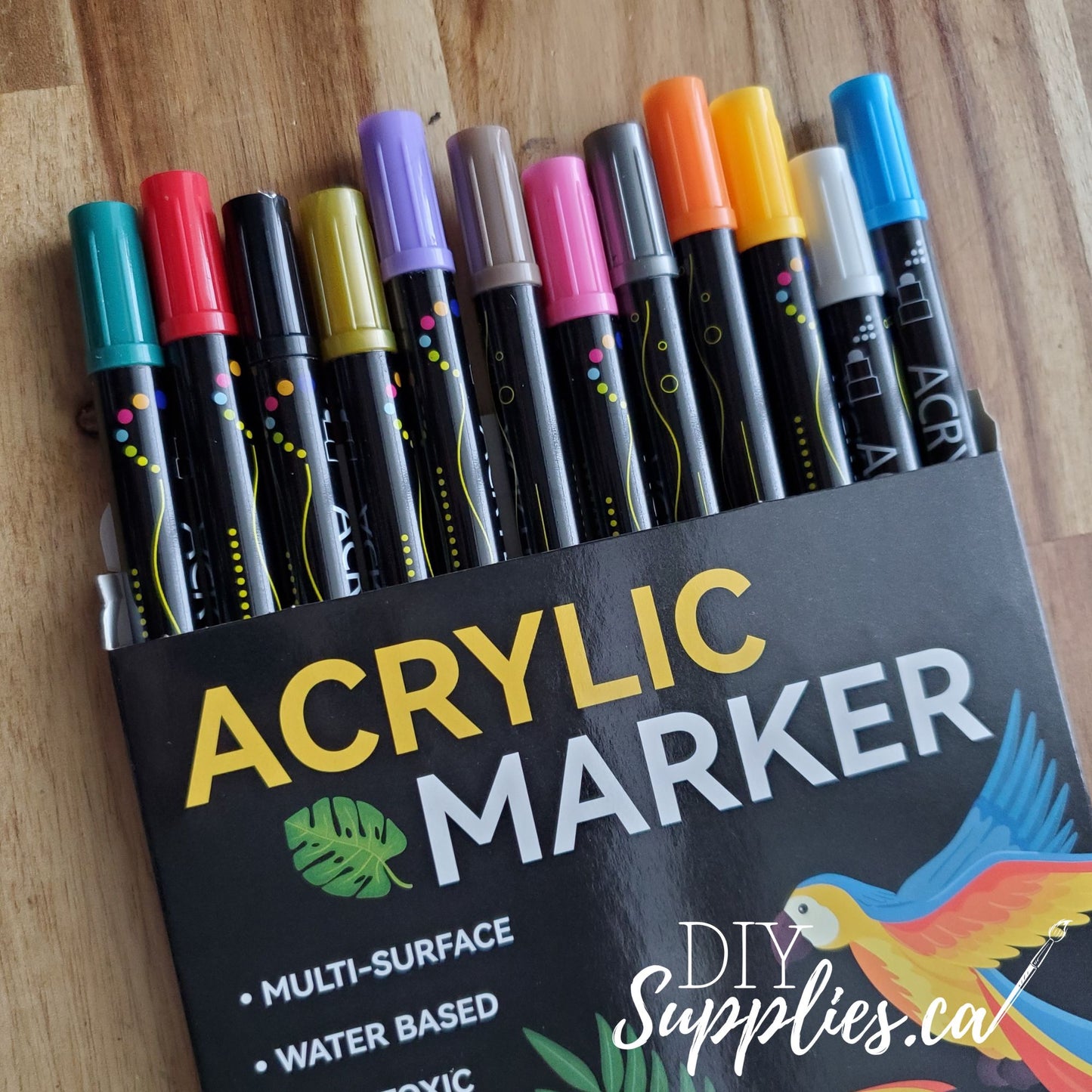 DIYSupplies Acrylic Double Tipped Paint Marker Set 12 Colors