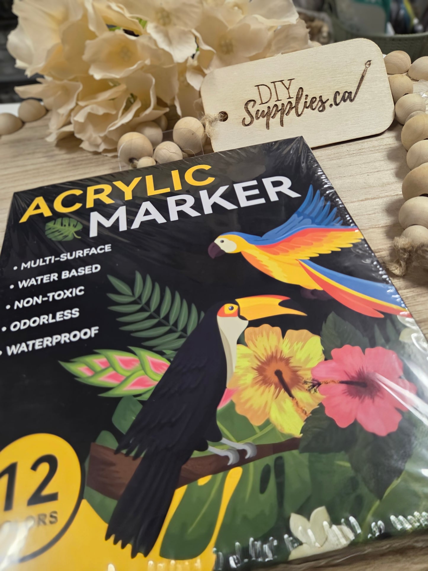 DIYSupplies Acrylic Double Tipped Paint Marker Set 12 Colors