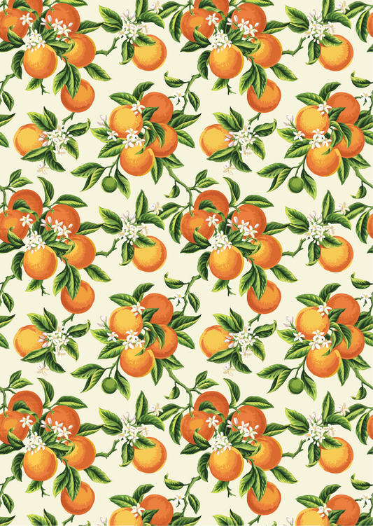 COMING SOON Belles and Whistles A3 Rice Decoupage Paper - Vintage Oranges