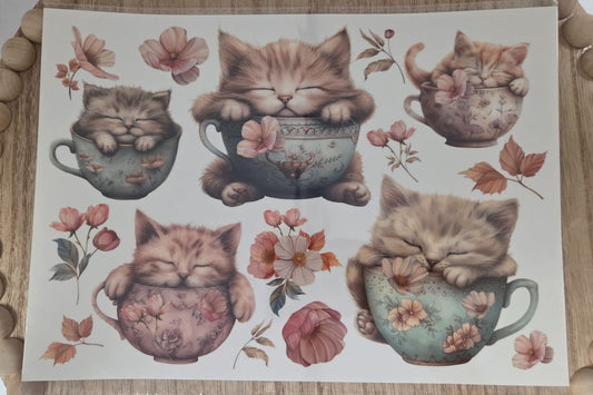 Water Transfer - Cup O Kitty 8.5 x 11  Transfer Sheet