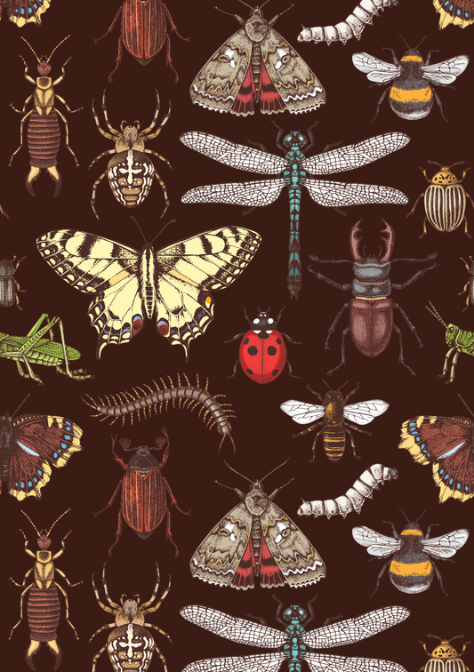 Belles and Whistles A2 Rice Decoupage Paper - Entomology Archive