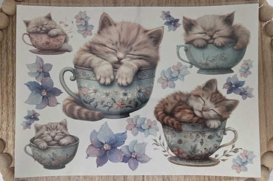 Water Transfer - Kitty Cups in Blue 8.5 x 11  Transfer Sheet