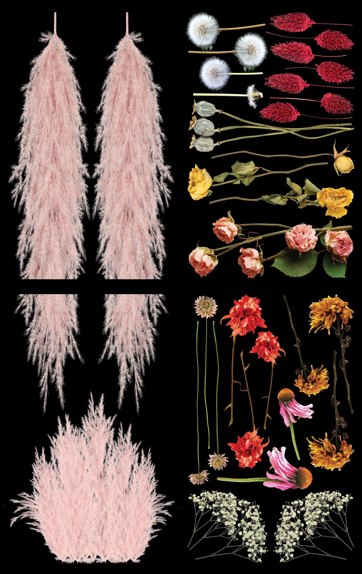 Belles and Whistles Transfers - Pink Pampas and Dried Wilds Flower
