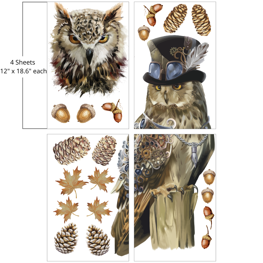 Belles and Whistles Large Transfer - Steampunk Owl Adventure