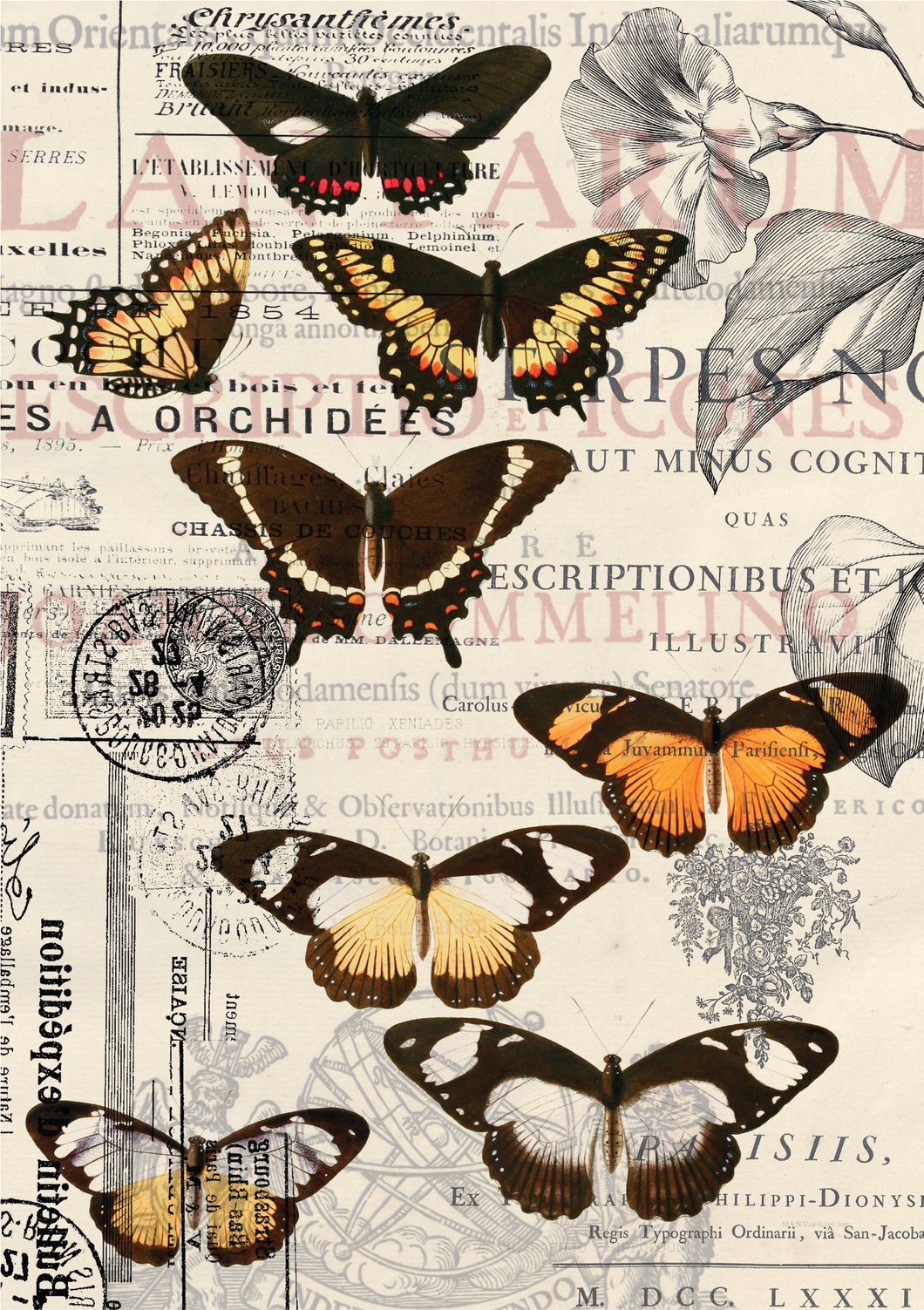 Belles and Whistles Premium Tissue Paper - Vintage Butterflies