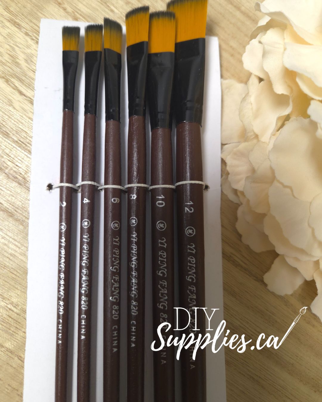 Artist Brush Set