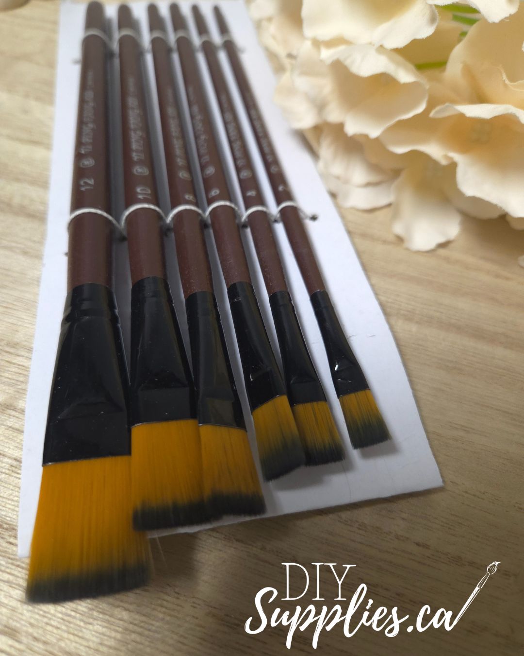 Artist Brush Set