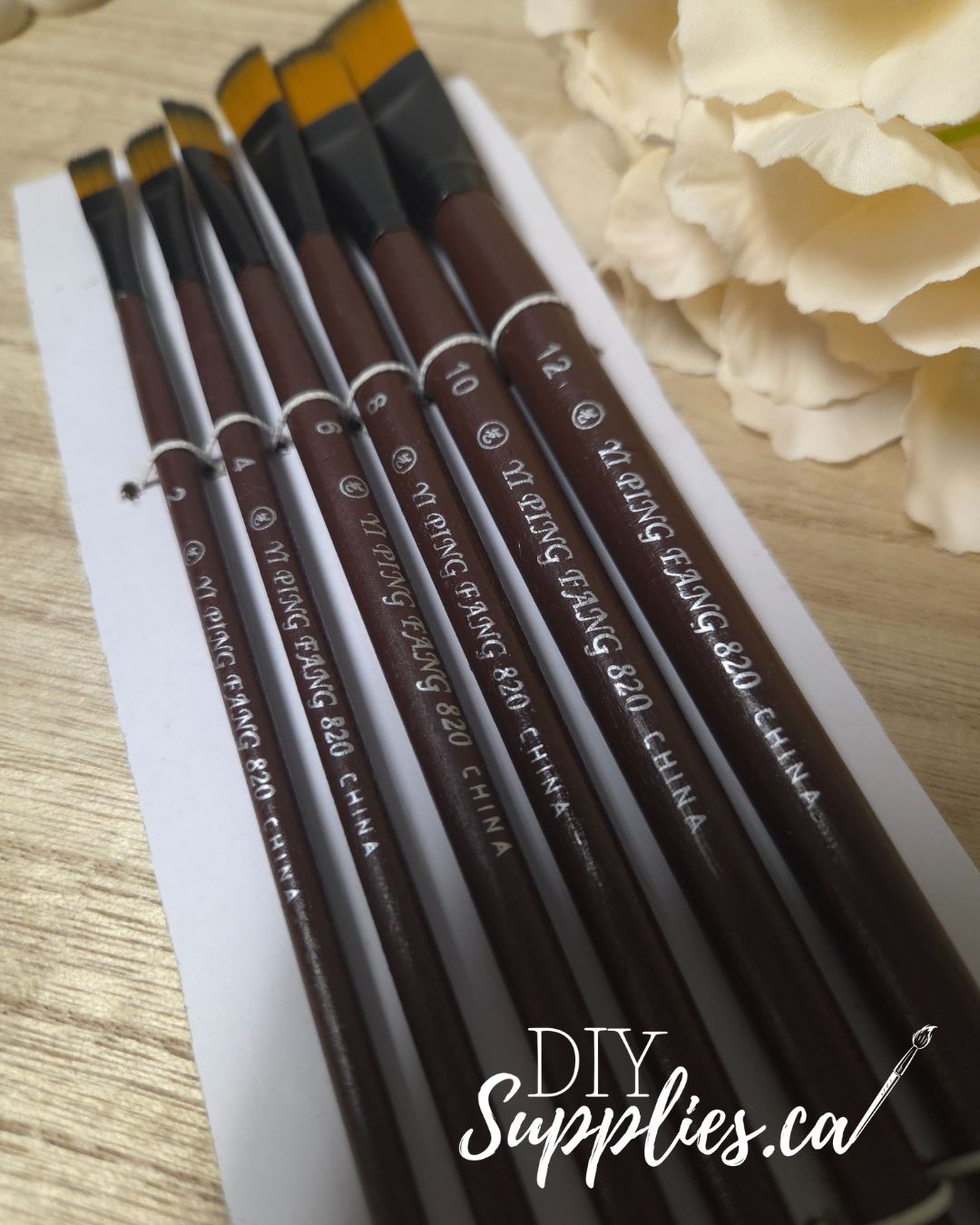 Artist Brush Set