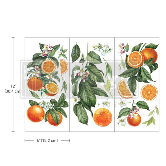 Re-Design Decor Transfers - Citrus Slice