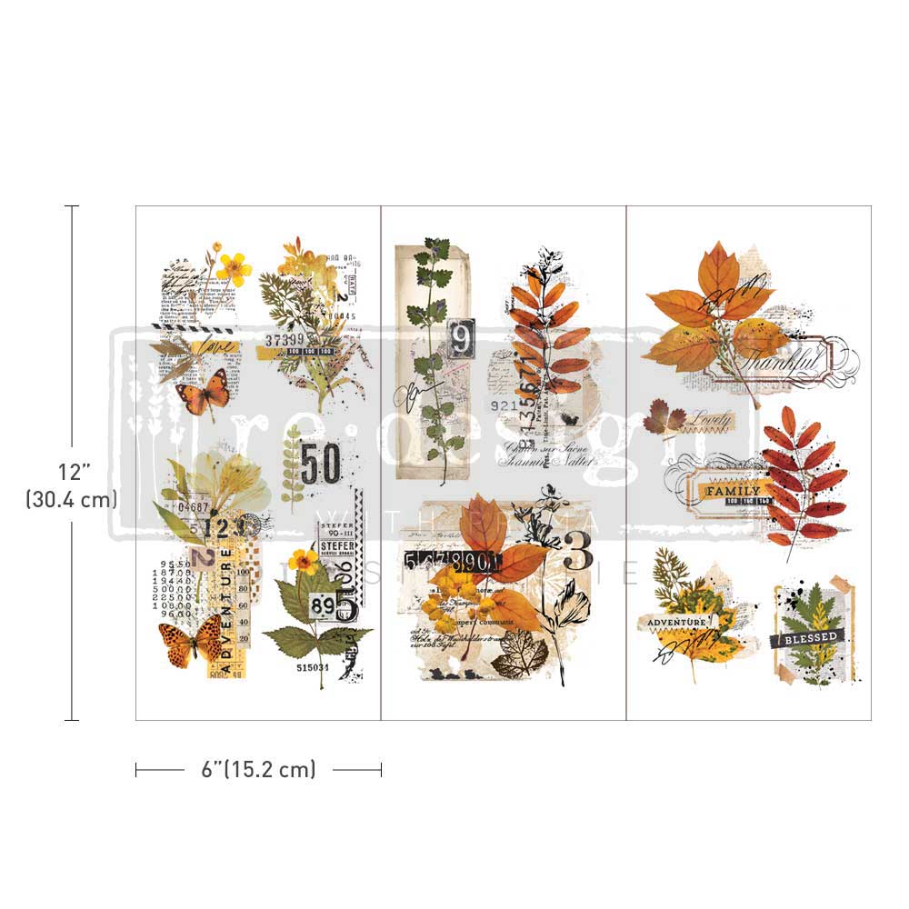 Re-Design Decor Transfers - Foliage Collector