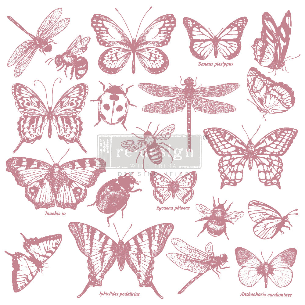 Redesign Clearly-Aligned DÉCOR STAMPS – Monarch Collection