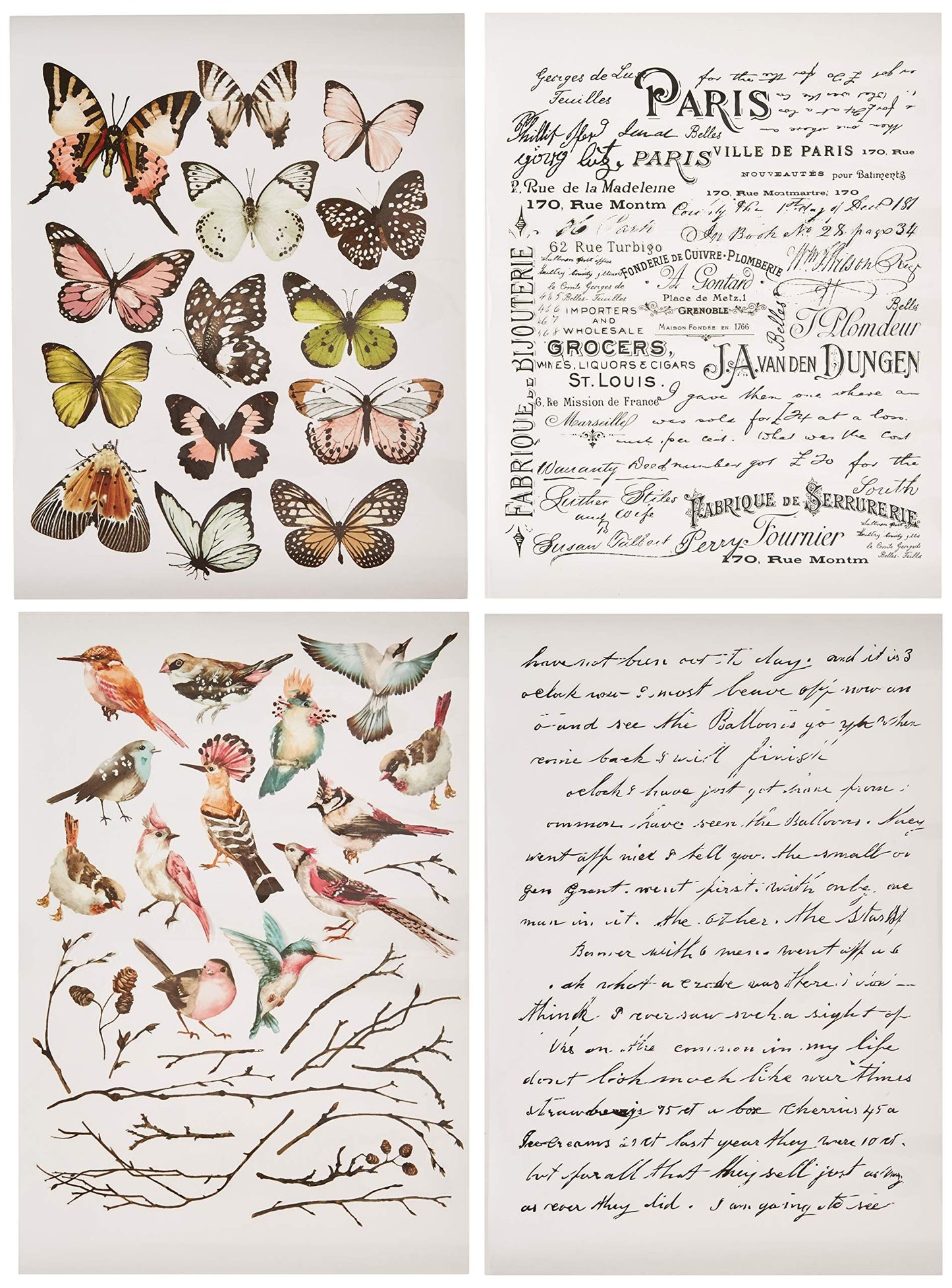 Redesign Decor Transfer - Parisian Butterflies