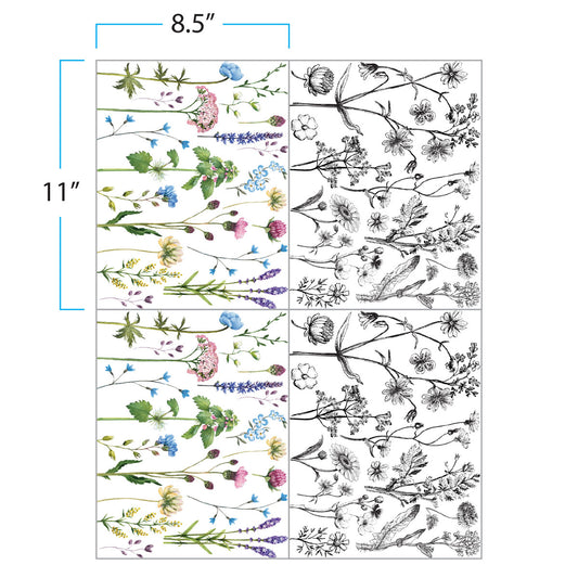 Prima Infusible Heat Transfers - 8.5" x 11" -Peaceful Stems 4 Sheets