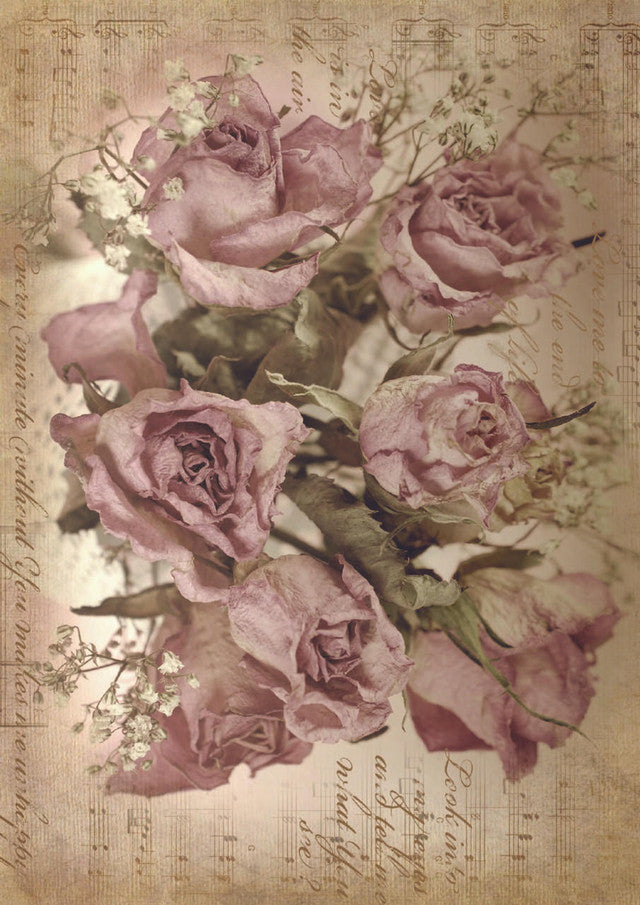 Belles and Whistles A1 Decoupage Paper - Sepia Rose Song