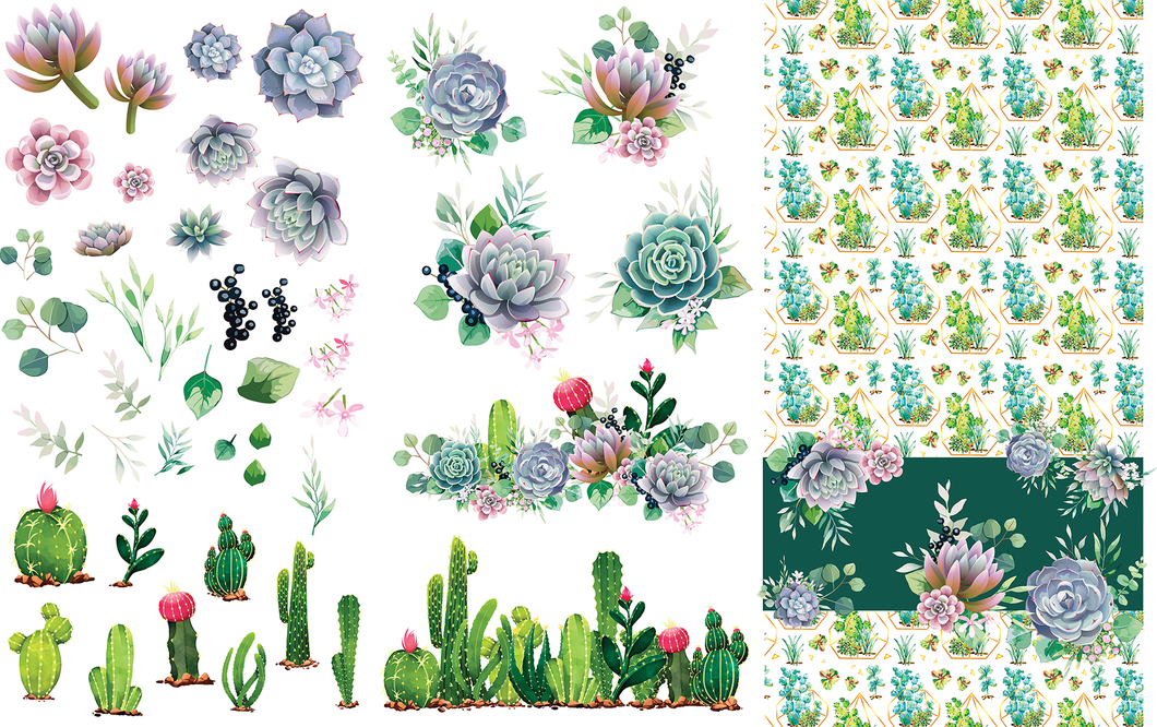 Belles and Whistles Transfers - Cacti & Succulents Transfer