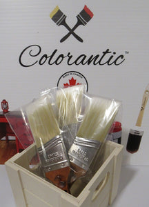 Poly/Nylon Colorantic Brownie Brush