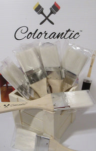 Colorantic Snow White 2 inch Chip Brush