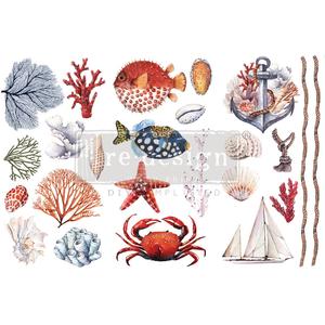 Re-Design Decor Transfers - Amazing Sea Life