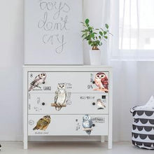 Load image into Gallery viewer, Re-Design Decor Transfers - Owl