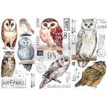 Load image into Gallery viewer, Re-Design Decor Transfers - Owl